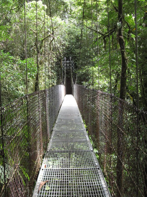 Suspension bridge through rainforest at Arenal hanging bridges Costa Rica