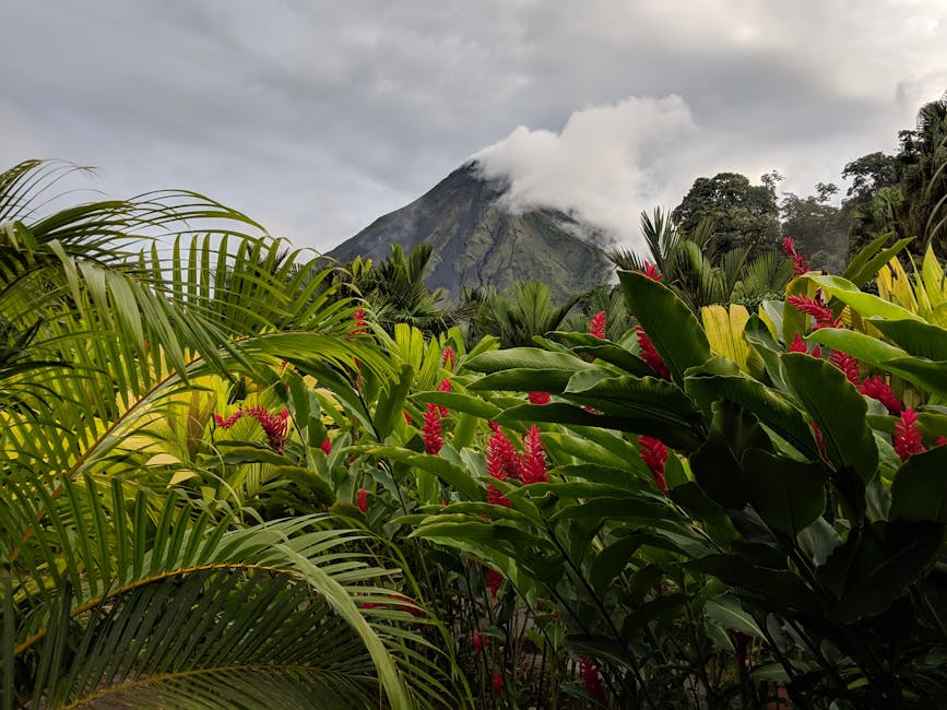Arenal Volcano view with tropical rainforest and flowers, Costa Rica
