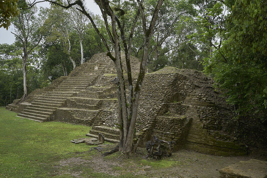 Stone pyramid steps and trees at Cahal Pech Mayan ruins in San Ignacio Belize