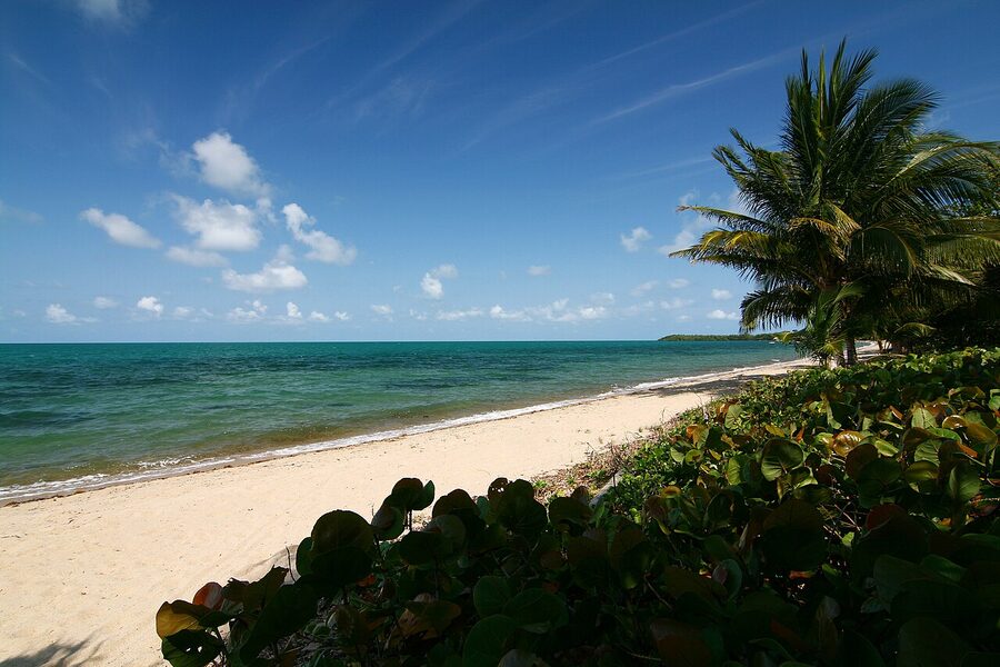 Empty white sand beach at Almond Beach in Hopkins, Stann Creek, Belize, with palm trees and Caribbean Sea