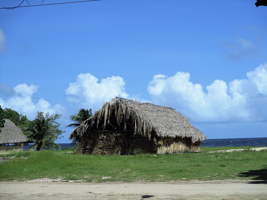 Traditional thatched-roof Garifuna house with palm trees in Hopkins Belize