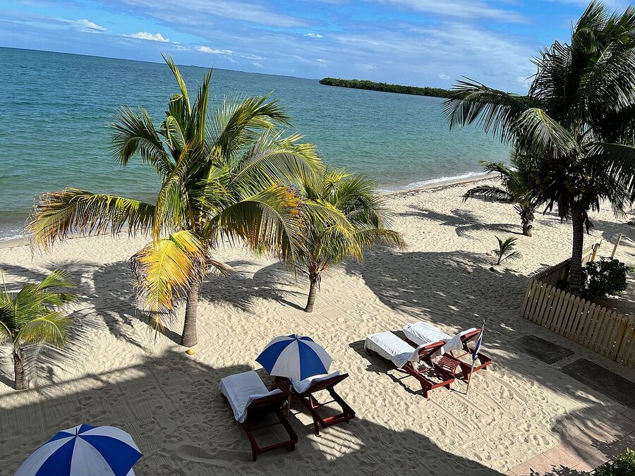 Wooden sun loungers with blue umbrellas on a Placencia beach with palm trees in Belize