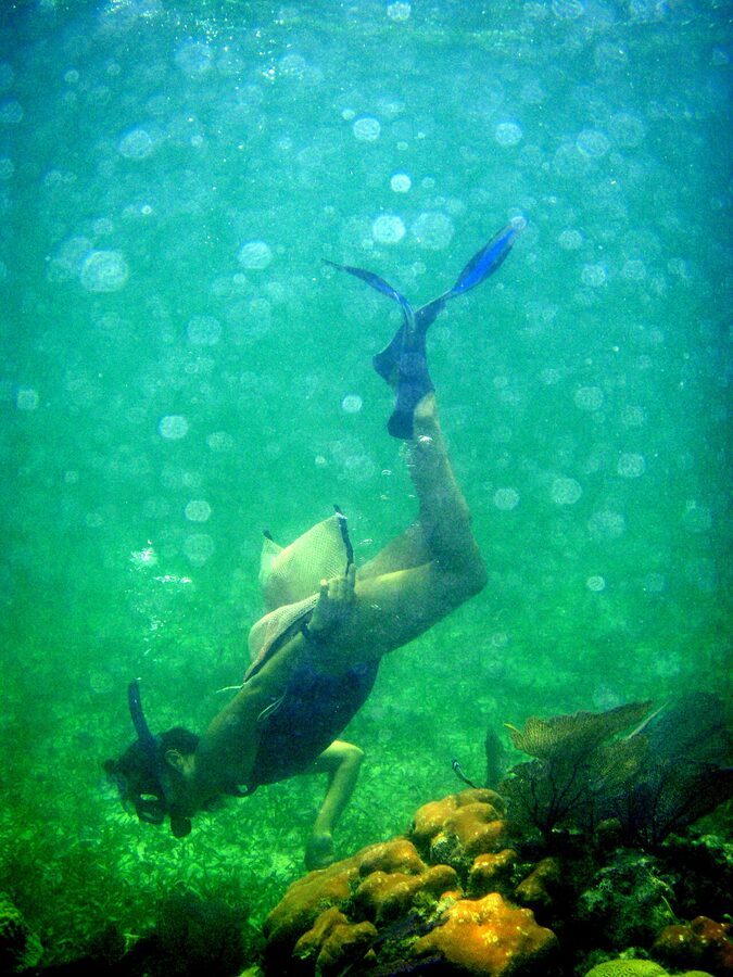 Snorkeller diving down over coral on the Belize Barrier Reef