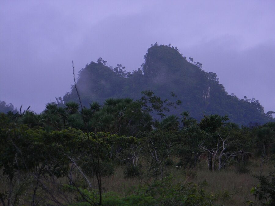 Cayo District forested hills near Belmopán in mist