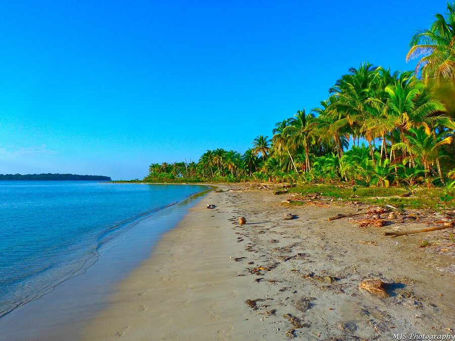 Boca del Drago beach calm Caribbean water