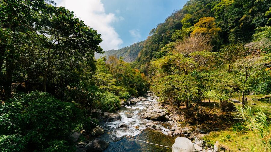 Rio Caldera flowing through dense rainforest in Boquete, Panama
