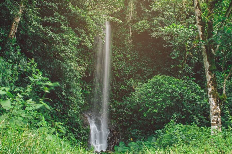 Tropical waterfall in Panama highland forest