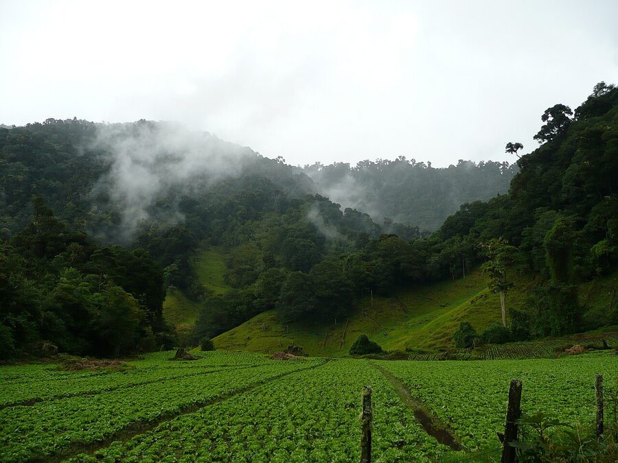 Sendero Los Quetzales trailhead at Cerro Punta in Volcan Baru National Park