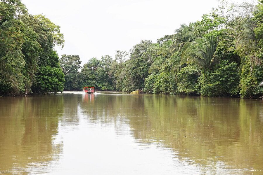Cano Negro Wildlife Refuge boat tour, Costa Rica