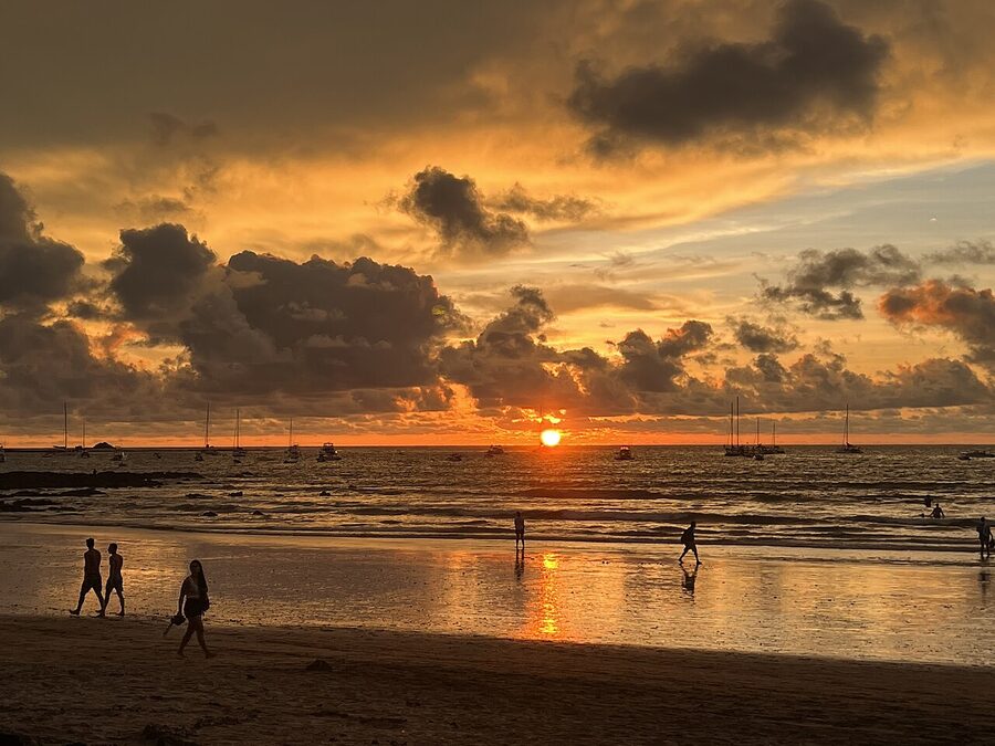 Empty Pacific coast beach with palm trees and breaking waves in Costa Rica
