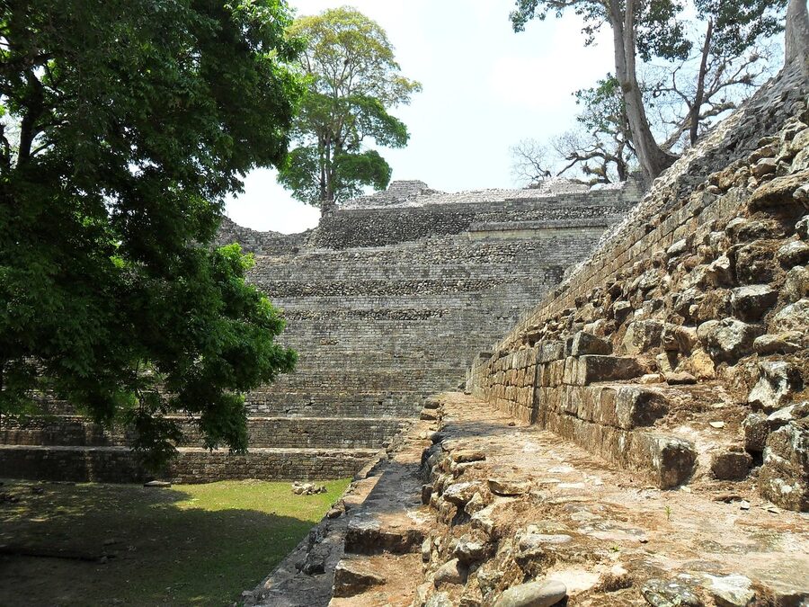 Steep stone-block stairs of a pyramid platform at the Copán archaeological site, with shaded trees overhead and a low foreground wall