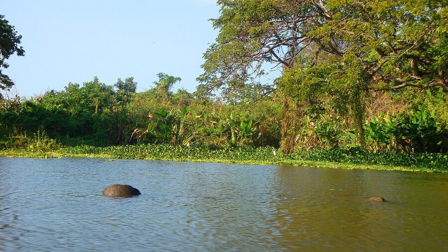 Las Isletas de Granada on Lake Nicaragua