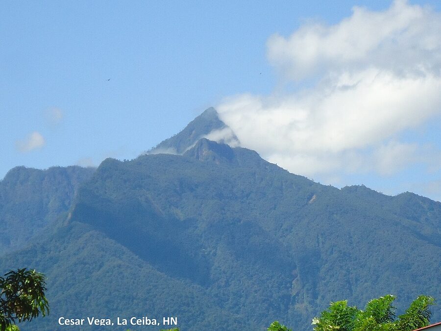Pico Bonito mountain near La Ceiba, Honduras
