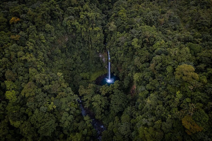Aerial view of La Fortuna Waterfall surrounded by rainforest
