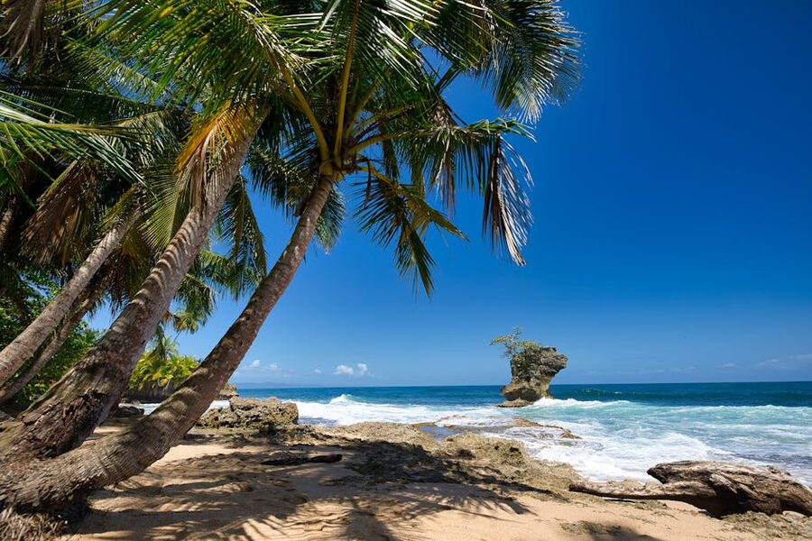 Tropical beach in Limón Costa Rica with palm trees and rocks under a clear sky