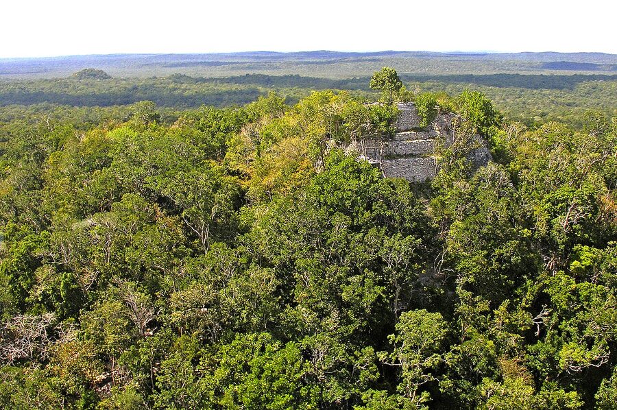 La Danta pyramid rising above the jungle at El Mirador, Peten, Guatemala