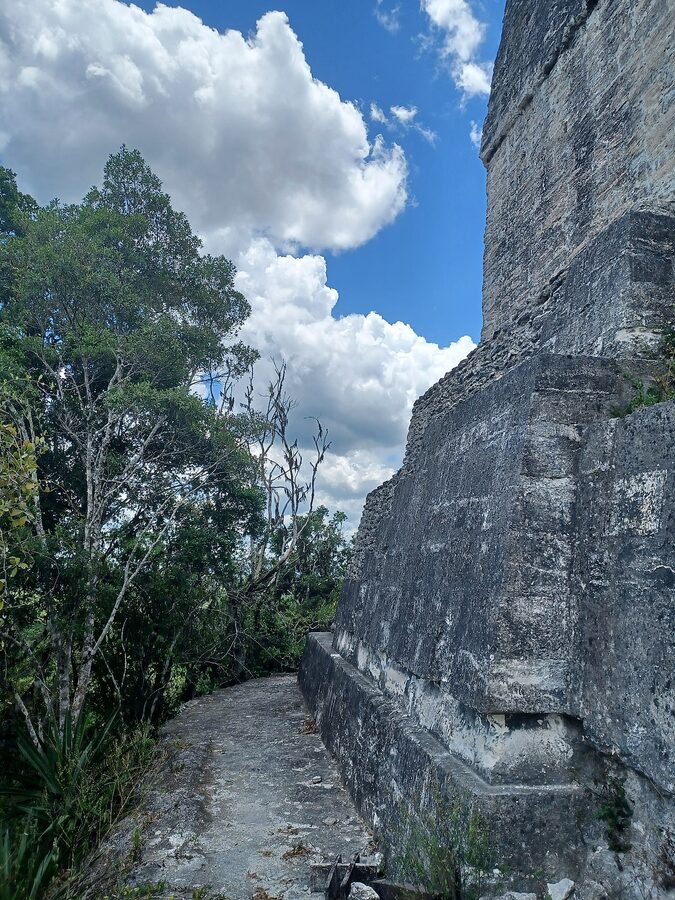 Tikal Temple IV rising above the jungle canopy in Peten, Guatemala