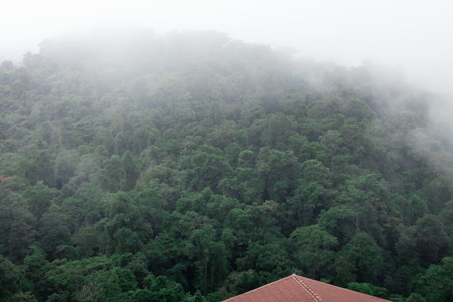 Mist-covered rainforest in Costa Rica