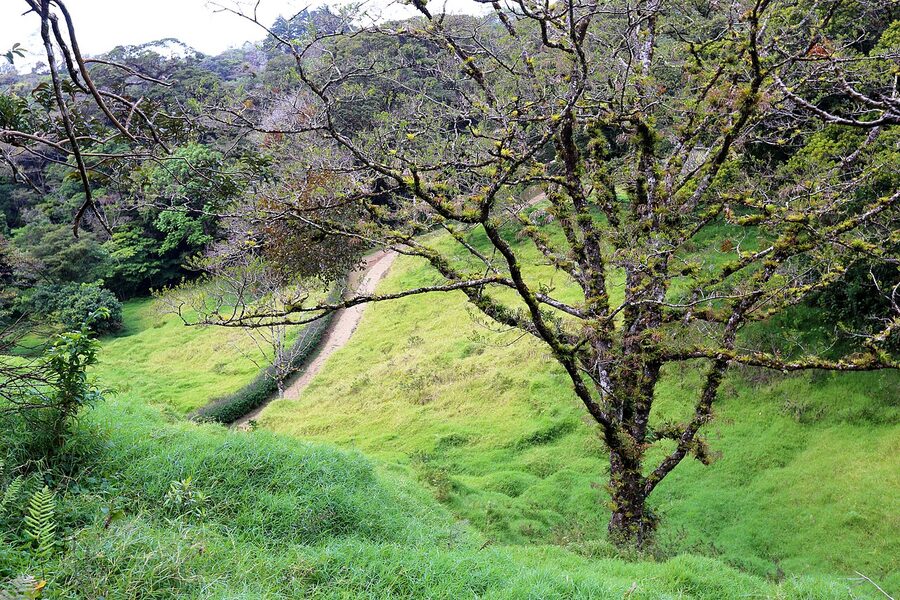 Curi-Cancha Reserve in Monteverde