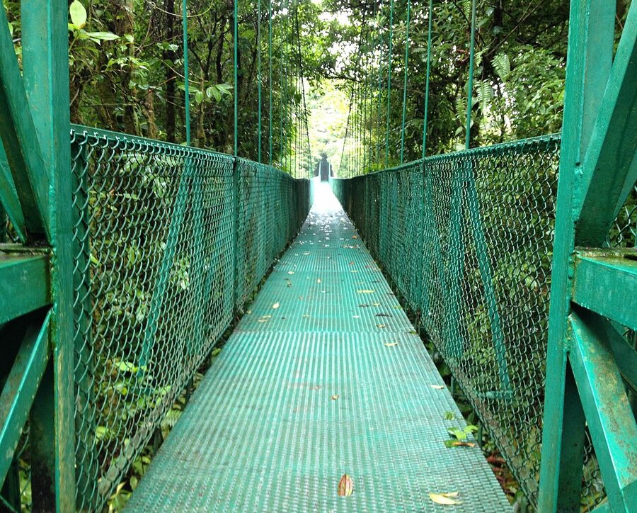 Selvatura Park suspension bridge over the cloud forest