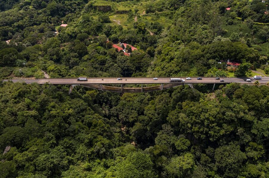 Suspension bridge in dense Costa Rican forest