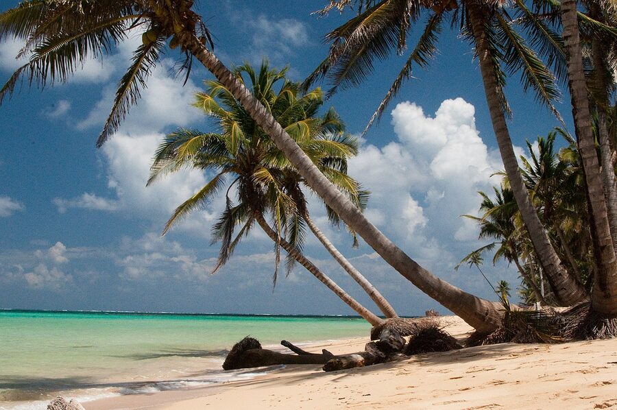 Otto Beach on Little Corn Island, Nicaragua, with wooden pier and palm trees