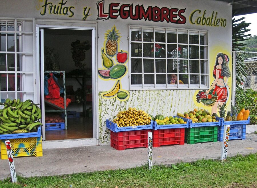 Roadside fruit and vegetable shop with hand-painted signage in Panama
