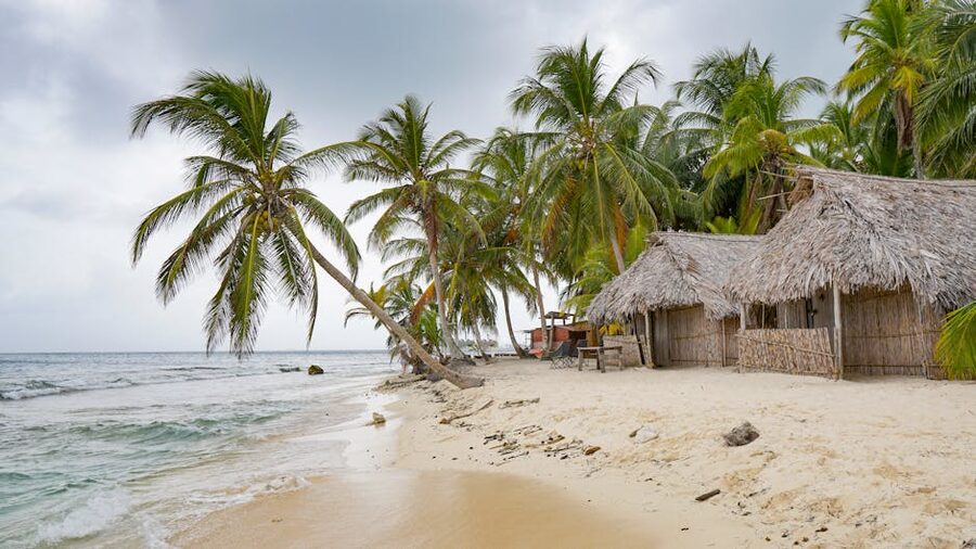 Guna thatched huts and palm trees on a San Blas beach