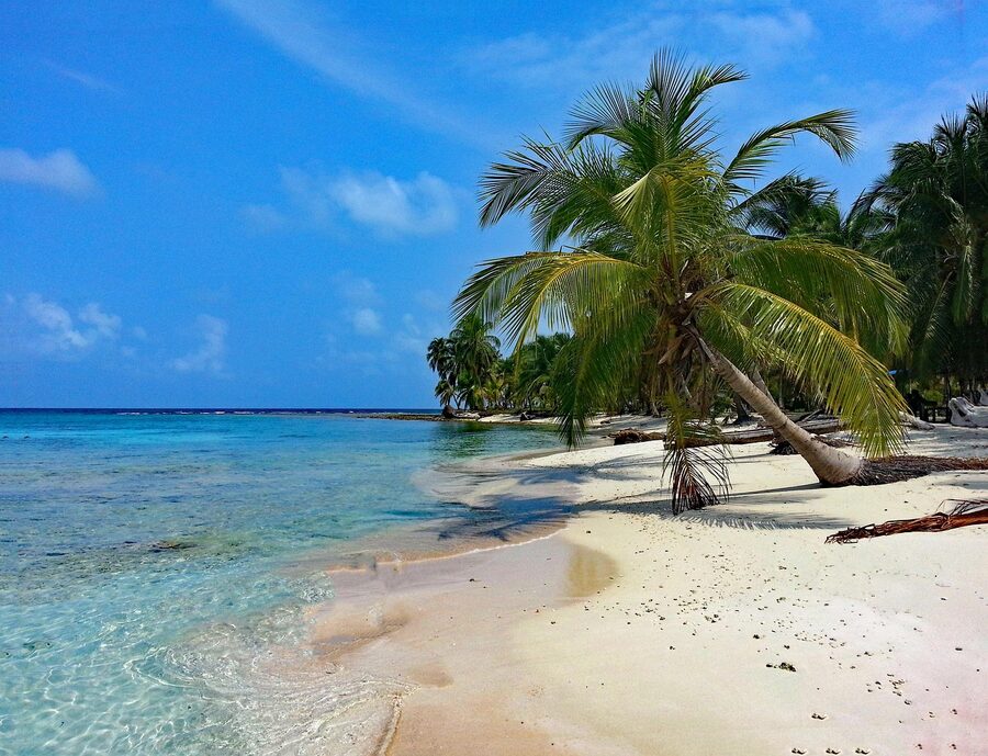 Classic San Blas palm-fringed beach with turquoise water