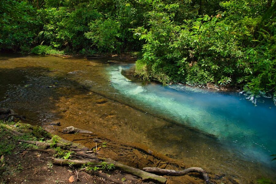 Bright cobalt water of Rio Celeste flowing through Costa Rican rainforest