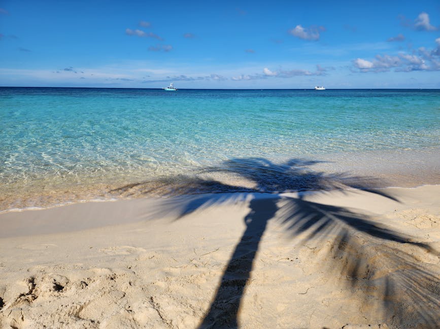 Tranquil beach turquoise water palm shadows Coxen Hole Honduras