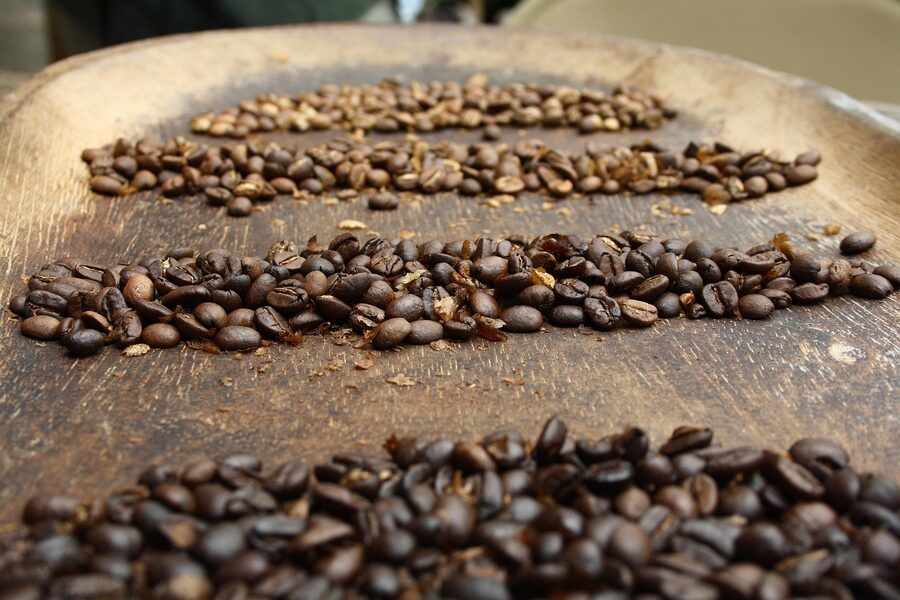 Roasted coffee beans, Panama coffee