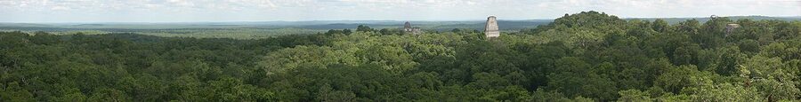 Panoramic view from Temple IV at Tikal showing Temples I II III V and Lost World