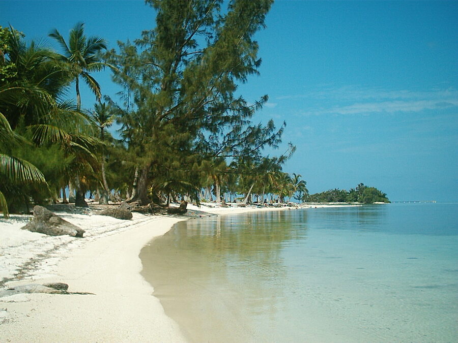 White sand and clear shallow water along Utila's Caribbean coast, Honduras