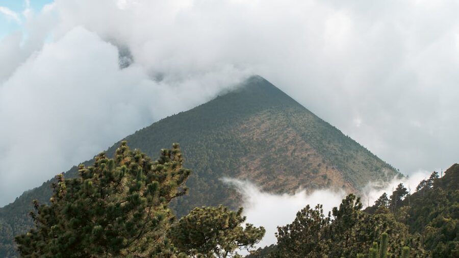 Acatenango volcano in Guatemala surrounded by clouds and pine forest