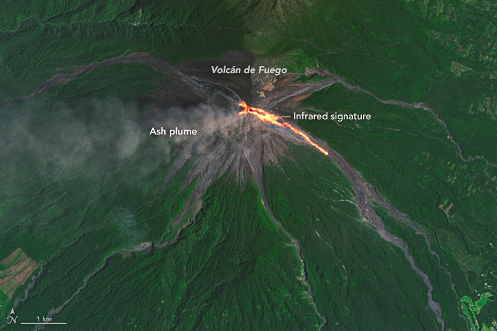 Lava flow on Volcan de Fuego in 2016, photographed by NASA Earth Observatory